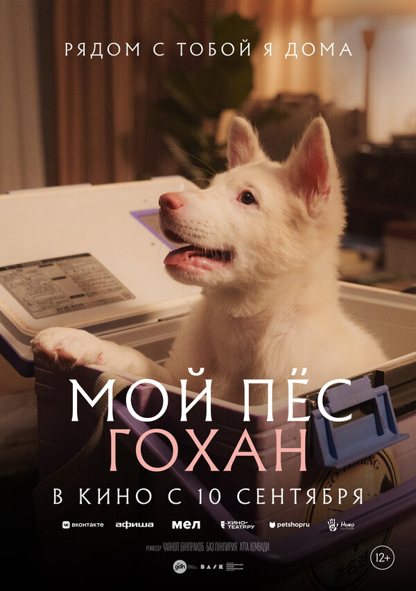 Мой пёс Гохан - постер фильма